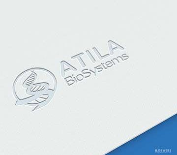 Logo & Website Design – AtilaBiosystems