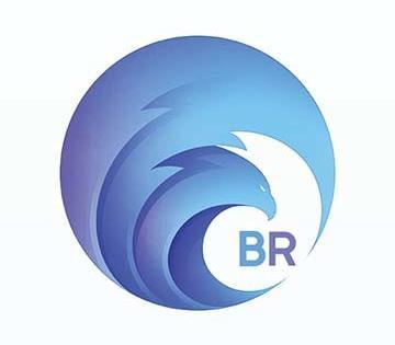 Logo 设计 – BR Investment